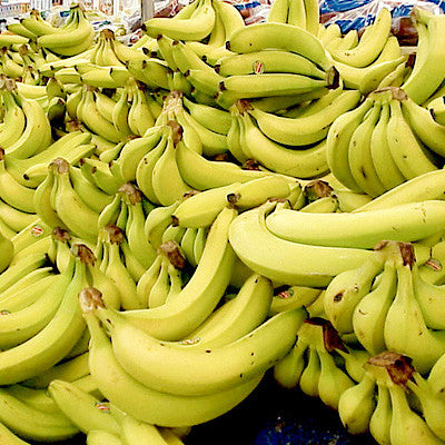 Bananas